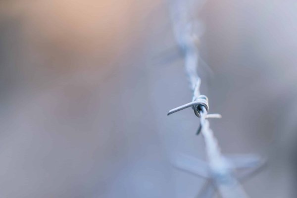 Guide pour acheter une machine à barbe à papa pour des fêtes inoubliables