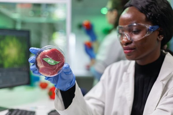 5 alternatives végétariennes gourmandes aux plats salés classiques